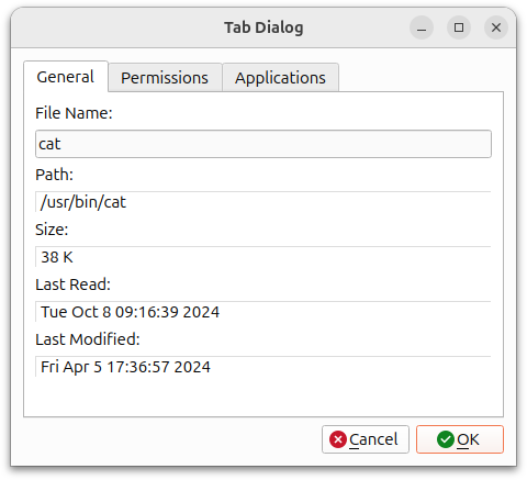 File information on different tabs